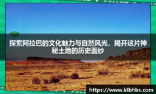 DB视讯